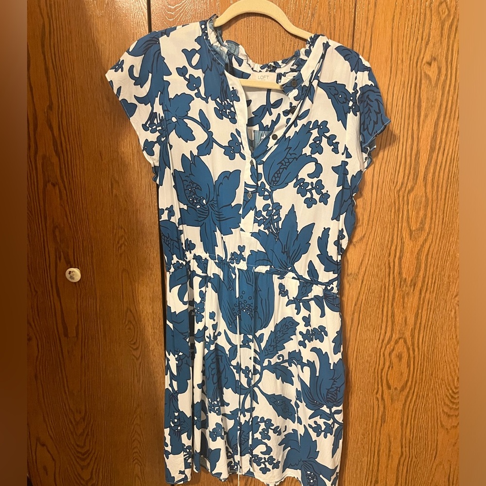 Ann Taylor Loft Dress